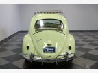 Thumbnail Photo 9 for 1961 Volkswagen Beetle